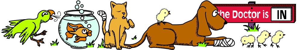 Home Veterinary Services LLC